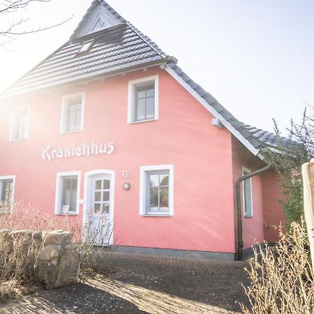 Kranichhus - Kranich 1 Appartement Born Buitenkant foto